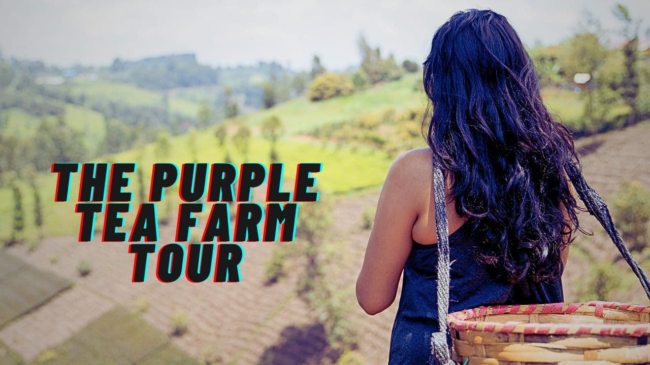 Gatura Greens Testimonial