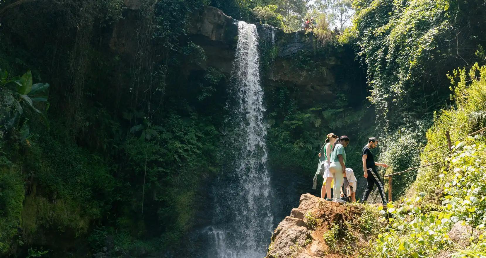 Gatura Greens Farm in Kenya